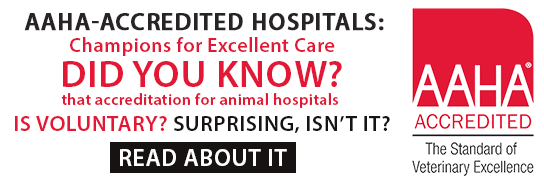 AAHA-Accredited Hospitals: Champions for Excellent Care banner