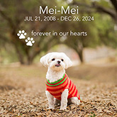 meimei Pet memorial